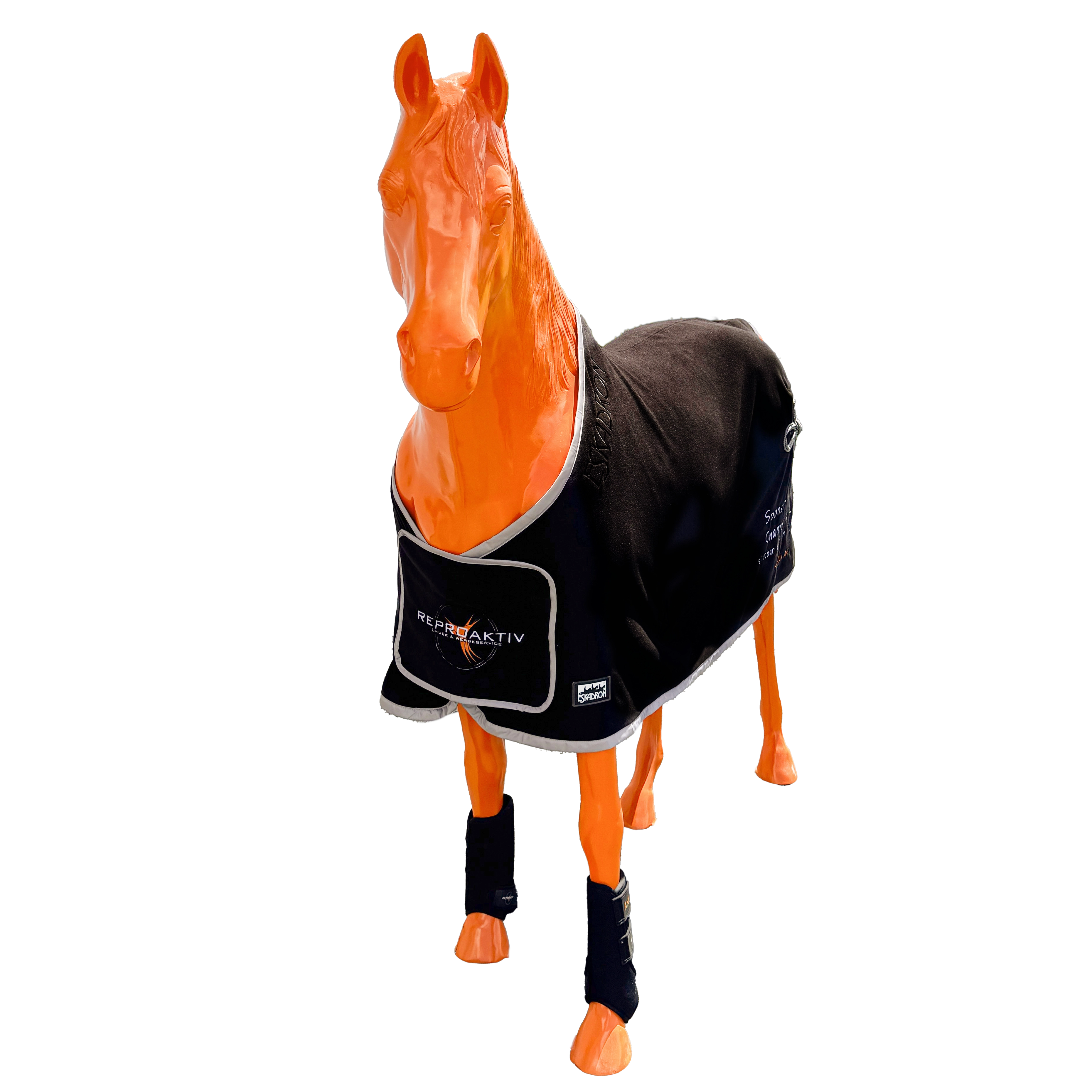 Paradedecke – Hochwertige, atmungsaktive Showdecke für Pferde Paradedecke – Hochwertige, atmungsaktive Showdecke für Pferde