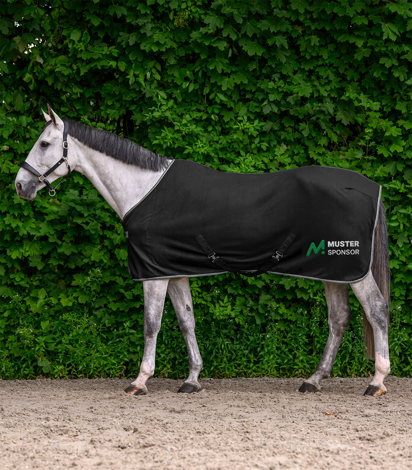 Abschwitzdecke ECONOMIC personalisierbar – Fleecedecke mit Kreuzgurten